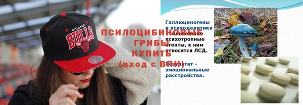 ешки Семилуки